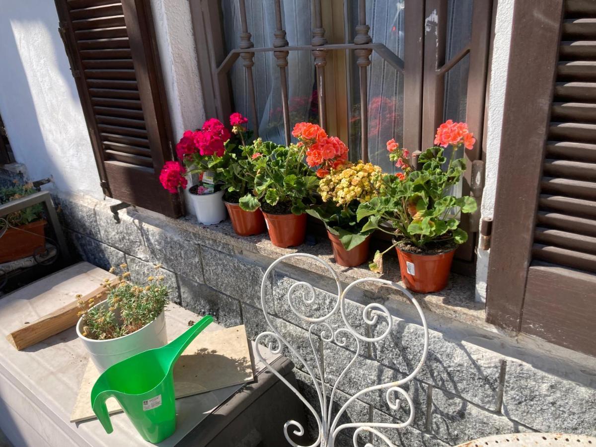 Room Saronno + B&B Ngoại thất bức ảnh